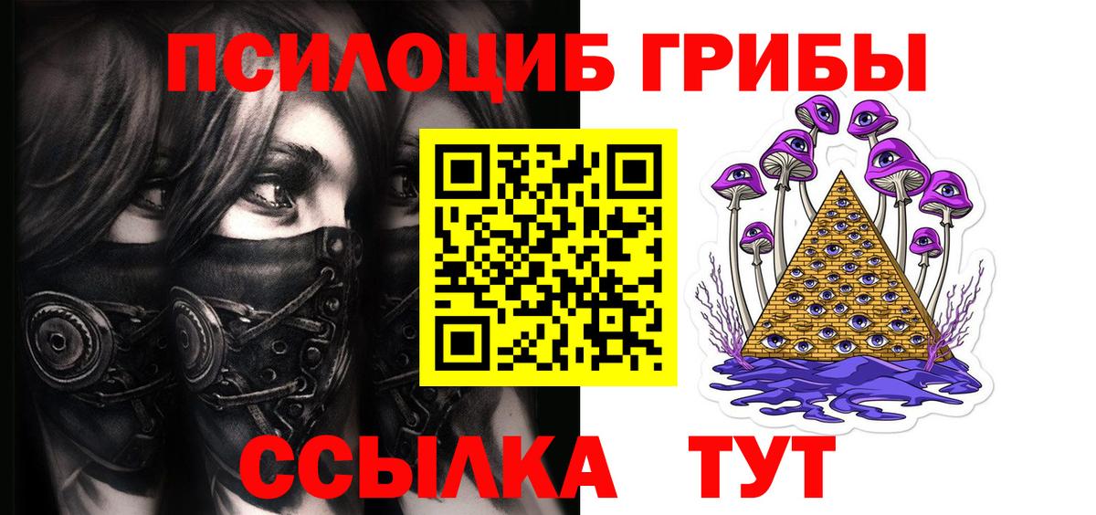 Прокопьевск  Галлюциногенные грибы прущие грибы  Вход с VPN 